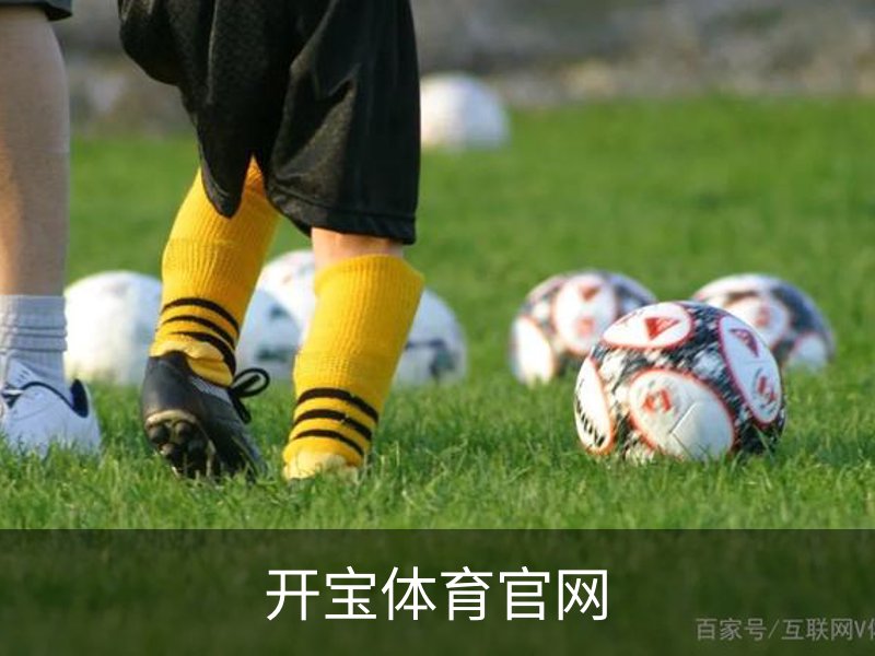 了解开宝体育官网