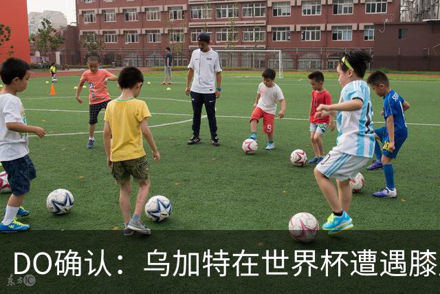 DO确认：乌加特在世界杯遭遇膝盖韧带重伤，预计面临长期缺阵
